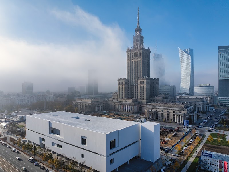 Muzeum Sztuki Nowoczesnej – Kwestia Kobieca